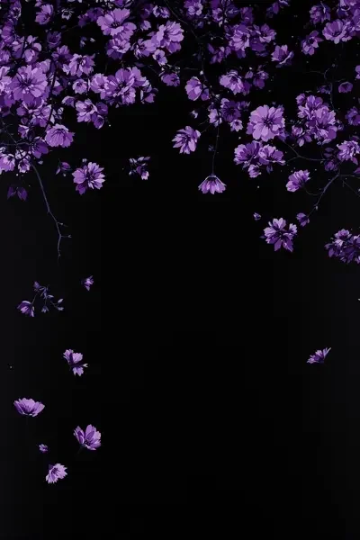 路边的小美好